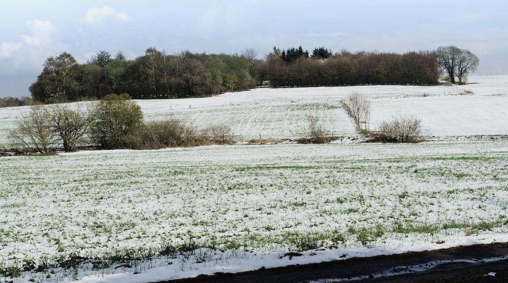Dicker Stein (Fat Stone) outside from Northwest in Engelrod, Lautertal, Germany - Natural monument