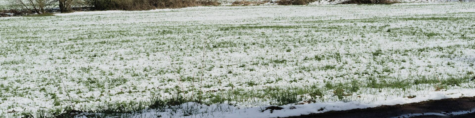 Dicker Stein (Fat Stone) outside from Northwest in Engelrod, Lautertal, Germany - Natural monument
