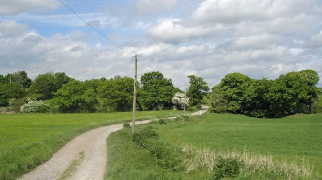 Approaching Wade Brook Approaching Wade Brook on Restricted Byway 1, Lostock Gralam.