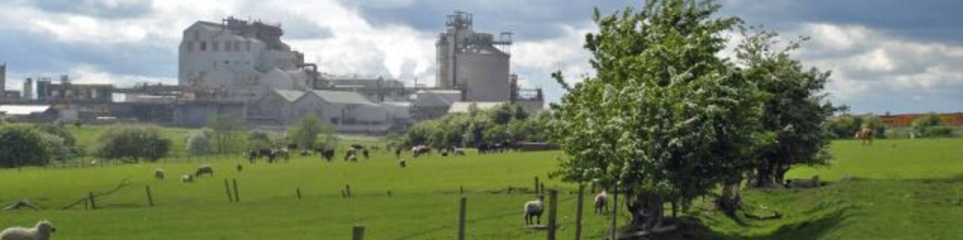 Agriculture and industry side-by-side Agriculture and industry side-by-side: view from Lostock Gralam footpath 2. Sheep grazing in the low-lying meadows with Lostock chloralkali works in the background. From this angle, the Trent & Mersey Canal, shown in 37264, lies just in front of the works.