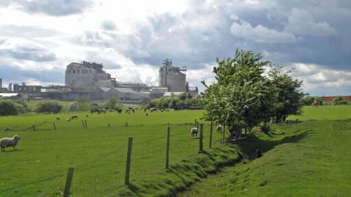 Agriculture and industry side-by-side Agriculture and industry side-by-side: view from Lostock Gralam footpath 2. Sheep grazing in the low-lying meadows with Lostock chloralkali works in the background. From this angle, the Trent & Mersey Canal, shown in 37264, lies just in front of the works.