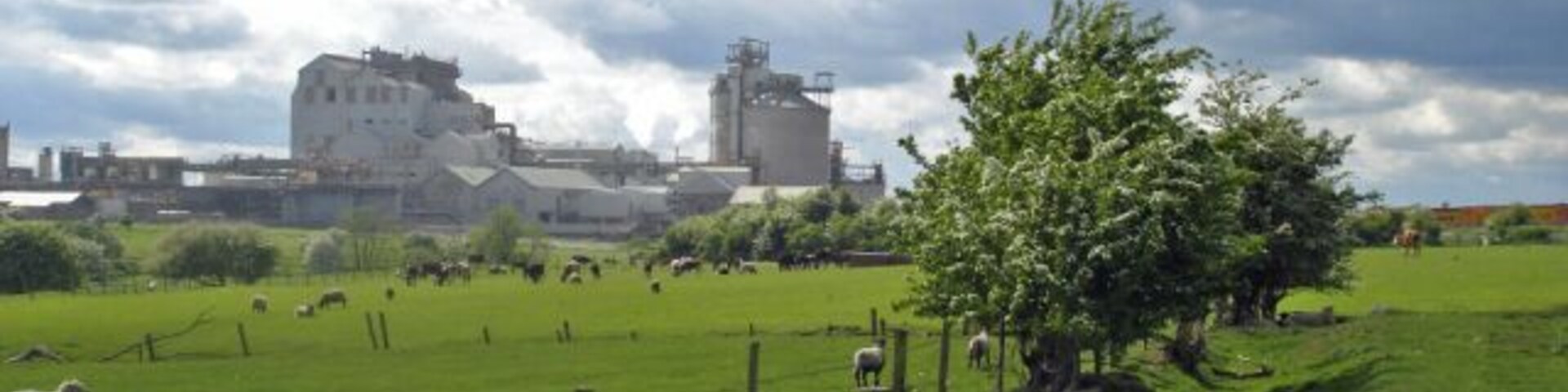 Agriculture and industry side-by-side Agriculture and industry side-by-side: view from Lostock Gralam footpath 2. Sheep grazing in the low-lying meadows with Lostock chloralkali works in the background. From this angle, the Trent & Mersey Canal, shown in 37264, lies just in front of the works.