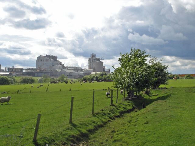 A green field with a fence, a tree, and a building in the background.
