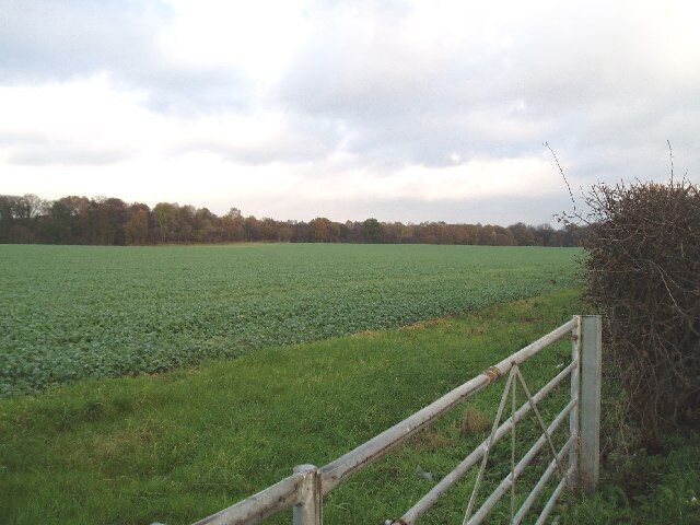 Winnington Wood. Taken from Manchester Road (A559),Lostock Gralam,looking NW