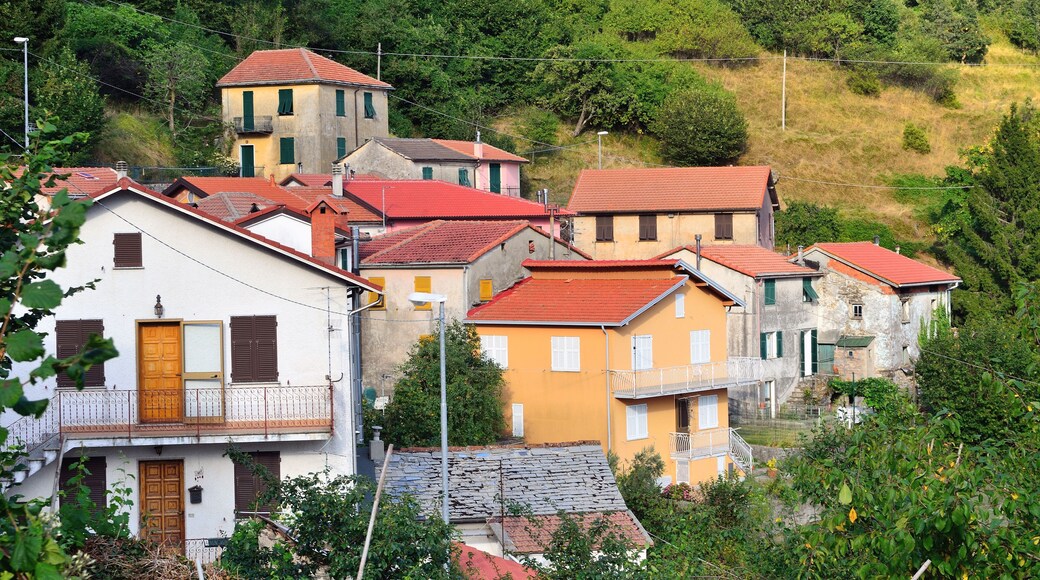 Rossi di Lumarzo,Genova,