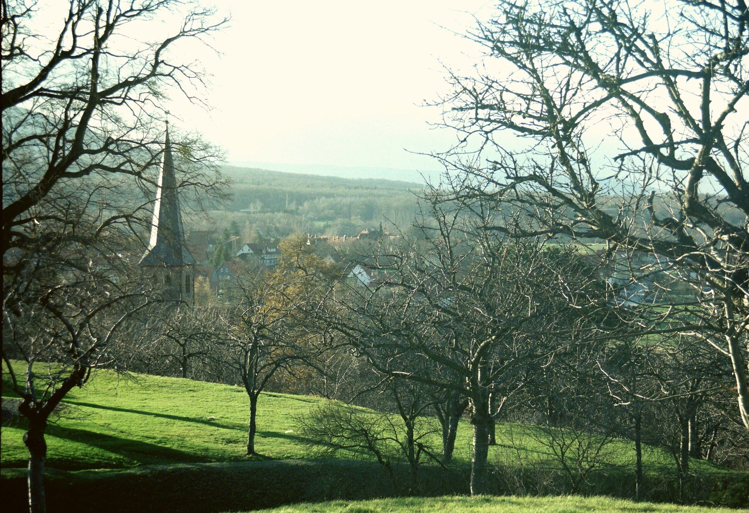Stapelburg, view from the ruined castle to the village
