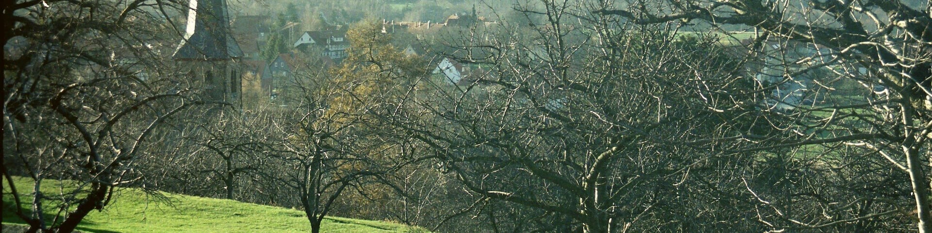 Stapelburg, view from the ruined castle to the village