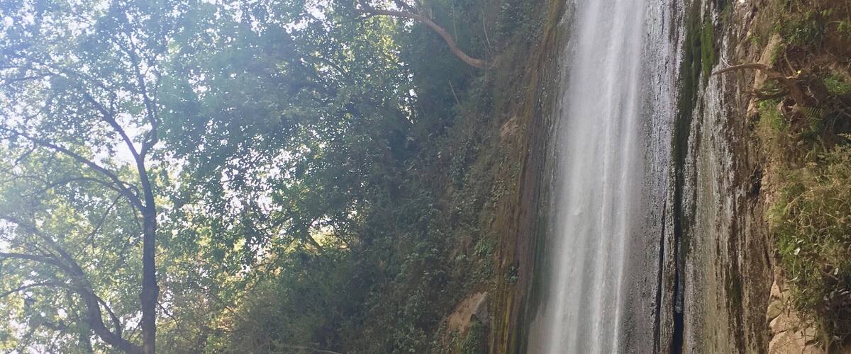 Nature in full froth....
Check out a new post on my first solo travel to Uttarakhand housing such gifts of nature....
https://wp.me/p8Rf0W-bA