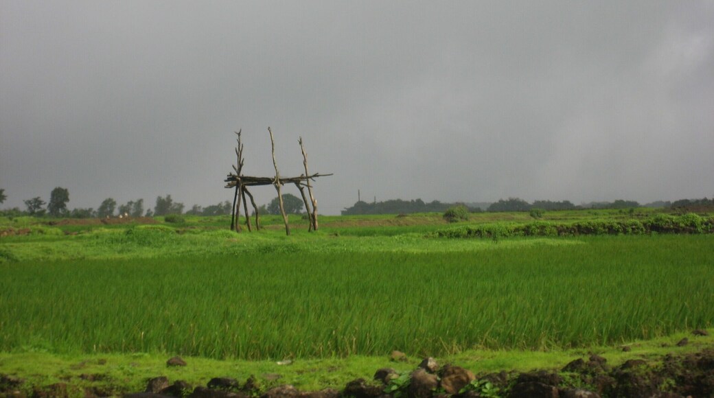 #LifeAtExpedia
On the quick escapade to Bhimashankar, a very serene religious place in Maharashtra, India.
