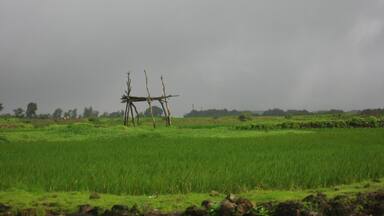 #LifeAtExpedia
On the quick escapade to Bhimashankar, a very serene religious place in Maharashtra, India.