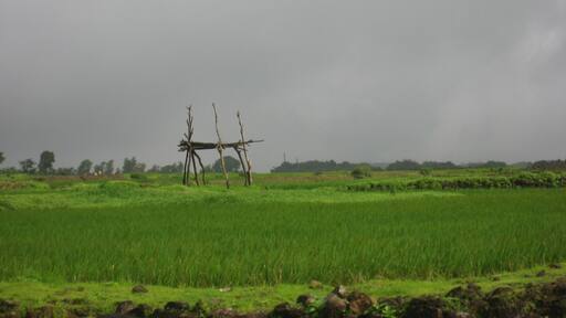 #LifeAtExpedia
On the quick escapade to Bhimashankar, a very serene religious place in Maharashtra, India.