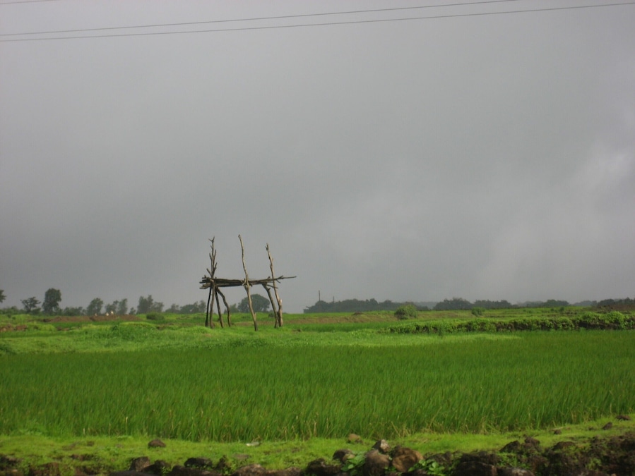 #LifeAtExpedia 
On the quick escapade to Bhimashankar, a very serene religious place in Maharashtra, India.