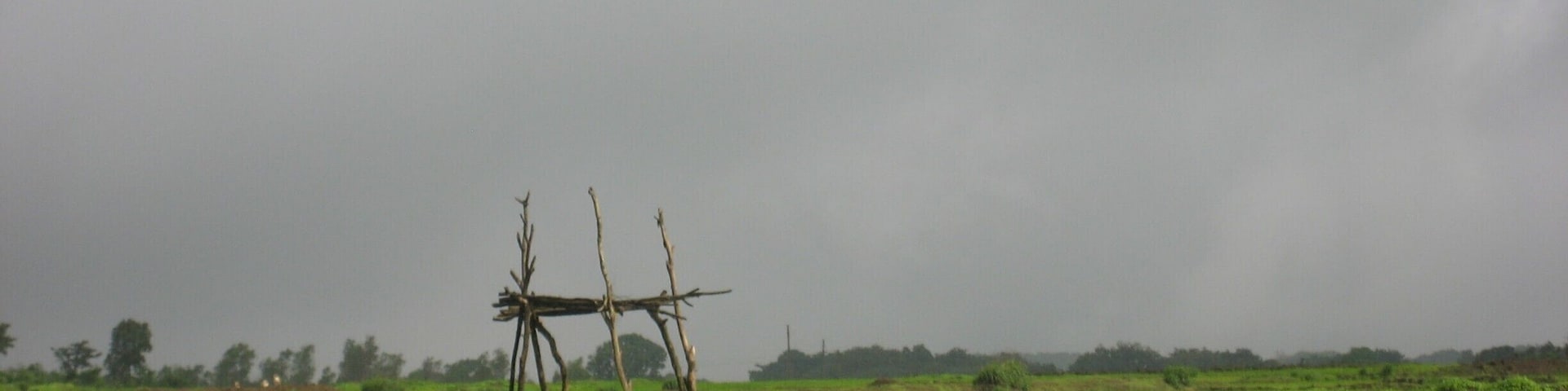 #LifeAtExpedia 
On the quick escapade to Bhimashankar, a very serene religious place in Maharashtra, India.