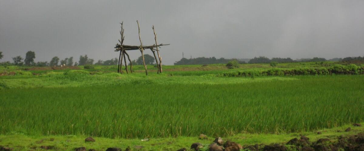 A green field with a wooden structure in the distance.