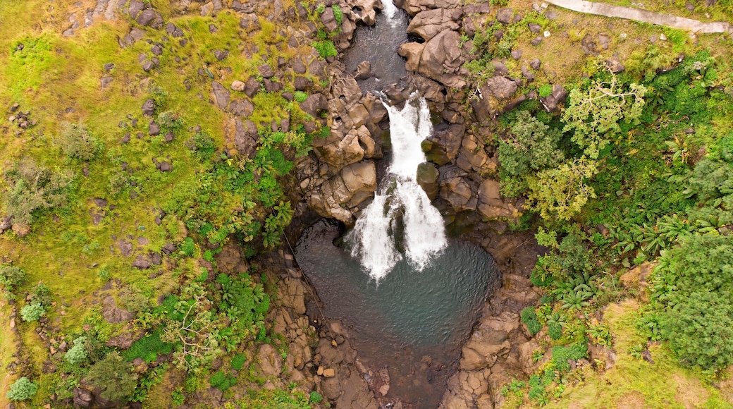 Bhimashankar's Kondwal waterfall in Maharashtra, India, a serene cascade within a verdant stream.