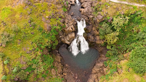 Bhimashankar's Kondwal waterfall in Maharashtra, India, a serene cascade within a verdant stream.