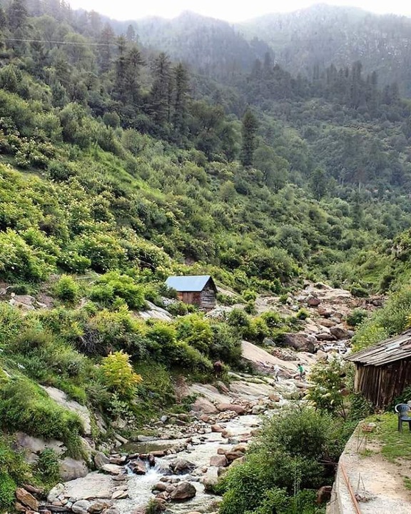The pristine beauty that Tosh is...
#tosh #parvativalley #parvatiriver #gorgeous #incredibleindia #himachalpradesh #himachal diaries
