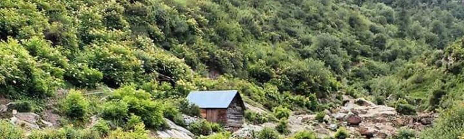 The pristine beauty that Tosh is...
#tosh #parvativalley #parvatiriver #gorgeous #incredibleindia #himachalpradesh #himachal diaries
