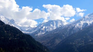 A mountain range with snow-capped peaks and a valley with dense forests.