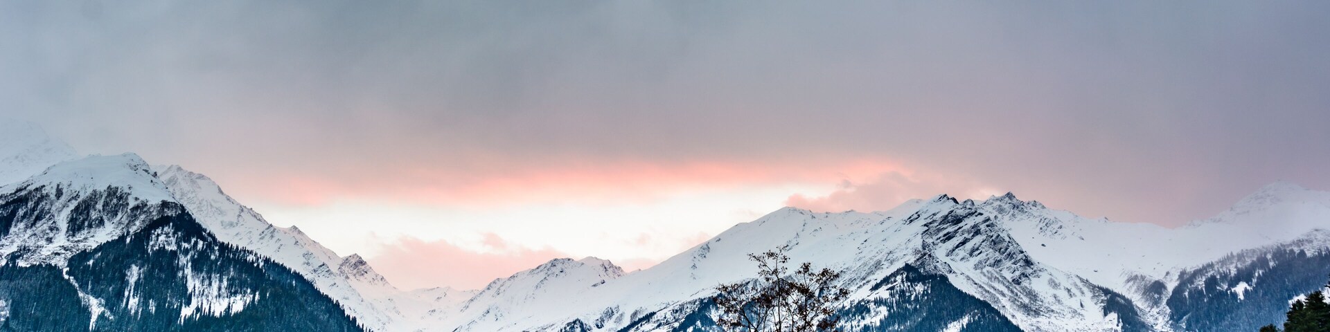 Snow-covered mountains, a clear sky, and a tree in the foreground.