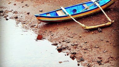 We have so many things to take us to places. Boats being one, memories another.
Found this one abandoned at a sea shore in the interiors of Guhagar, a small town on the Konkan coast of Maharashtra.
#incredibleindia #india #indiatourism #indiatravel #travelpics #travelgram #streetsofindia #travelblogger #desi_diaries #_soi #discover_india #indiapictures #indiaclicks #igramming_india #india_gram #travel #travelbug #maharashtra #konkan #konkani #solotravel #coastal #maharashtra_ig #maharashtratourism #sea #blue #seashore #water #boat