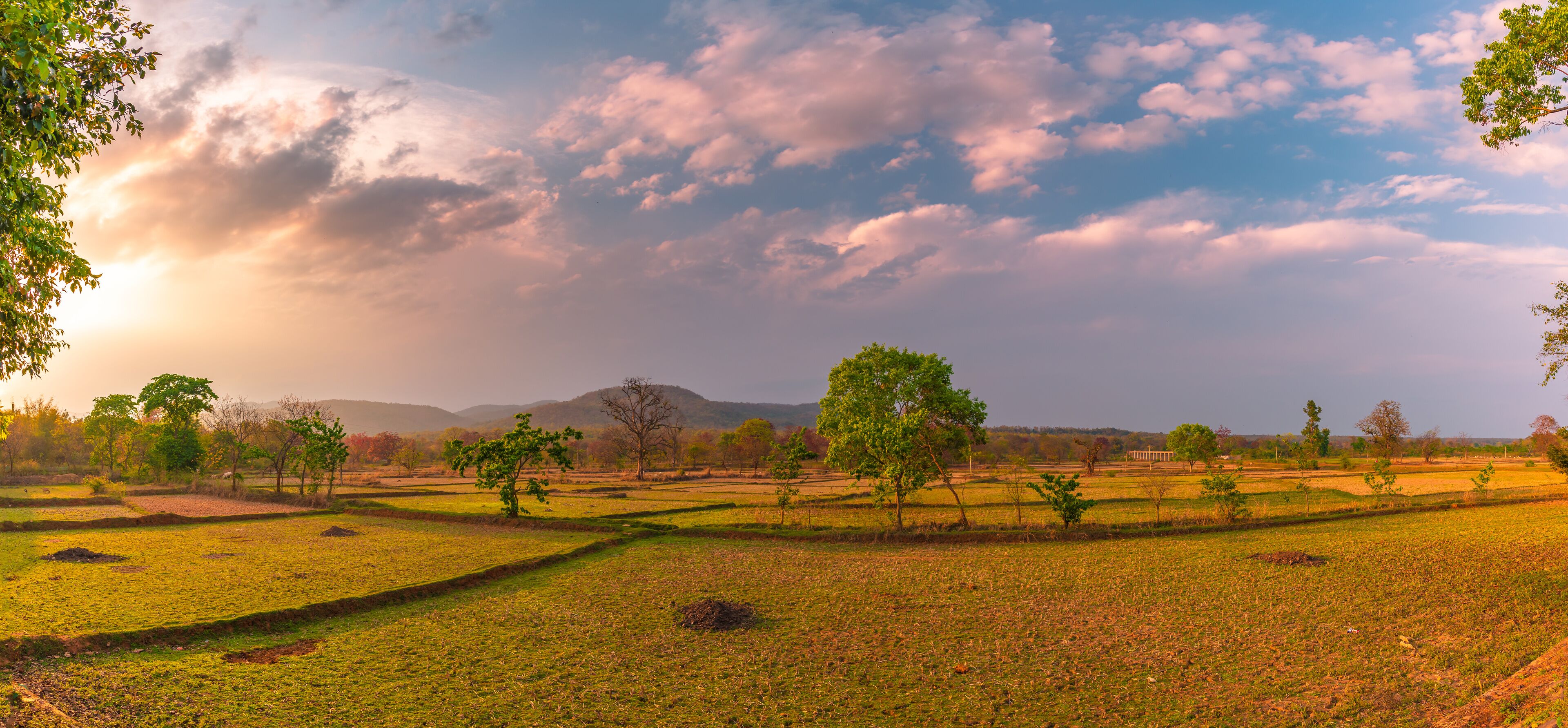A rural landscape with terraced fields, scattered trees, and a distant mountain range under a partly cloudy sky.