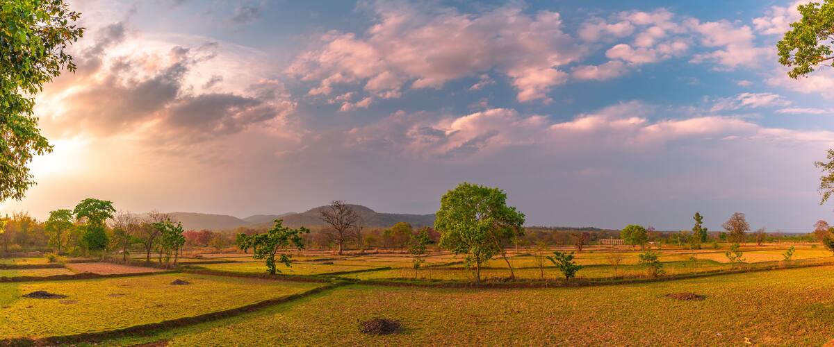 A rural landscape with terraced fields, scattered trees, and a distant mountain range under a partly cloudy sky.