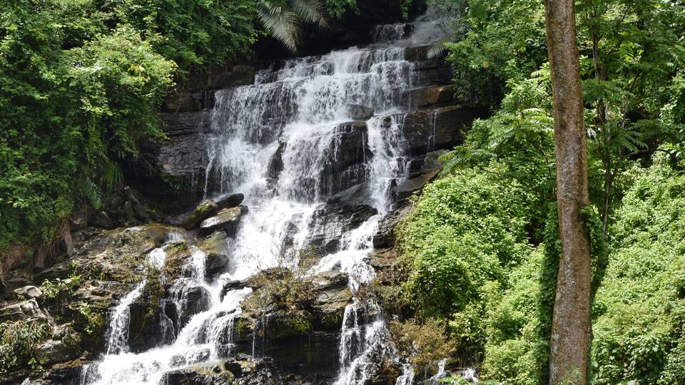 A multi-tiered waterfall surrounded by dense green foliage.