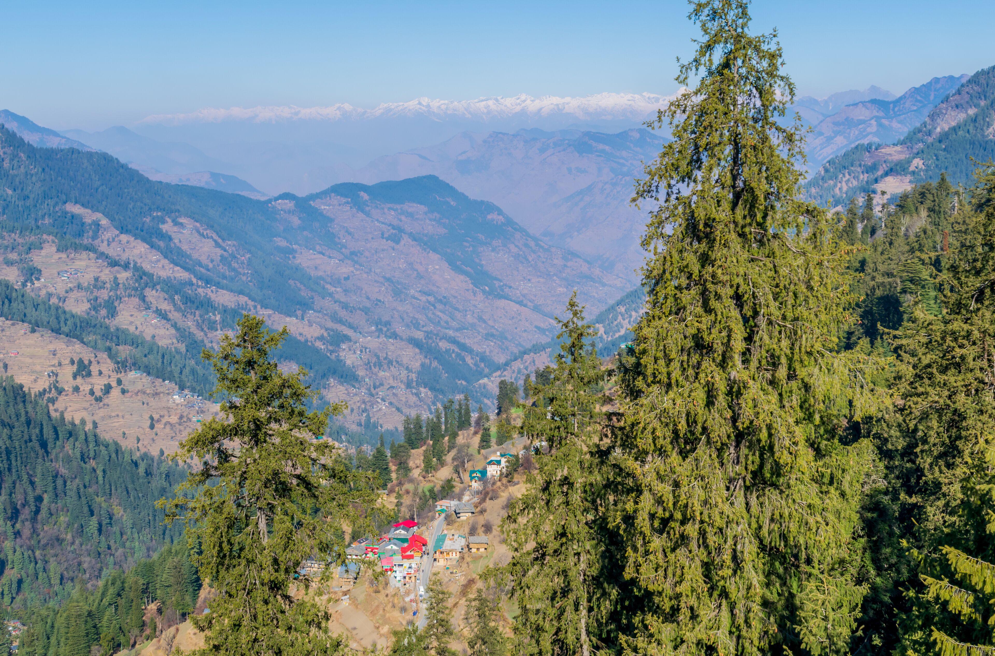 A view of Shoja, Himachal Pradesh, India