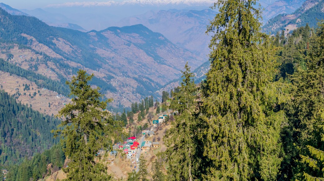 A view of Shoja, Himachal Pradesh, India