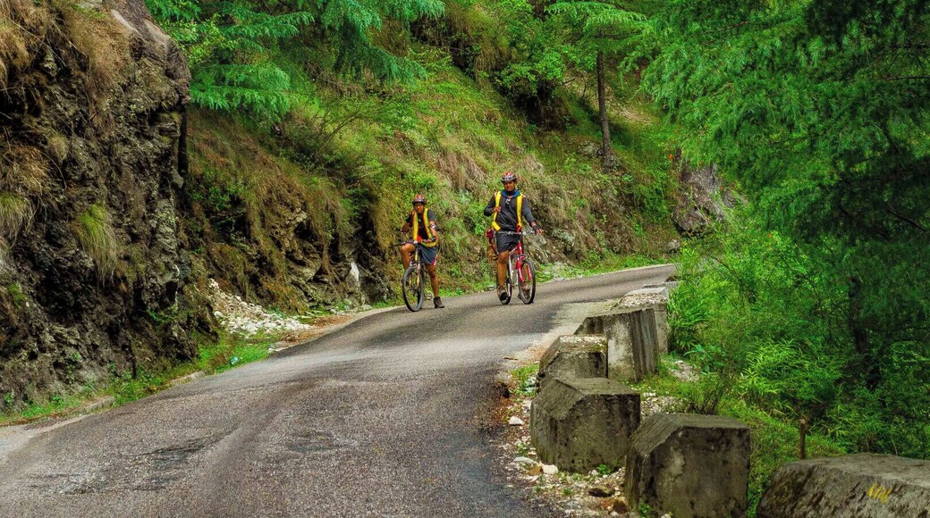 Cycling en route to Jalori Pass