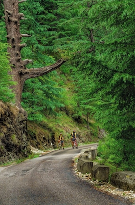 Cycling en route to Jalori Pass