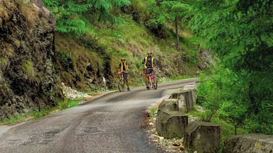 Cycling en route to Jalori Pass