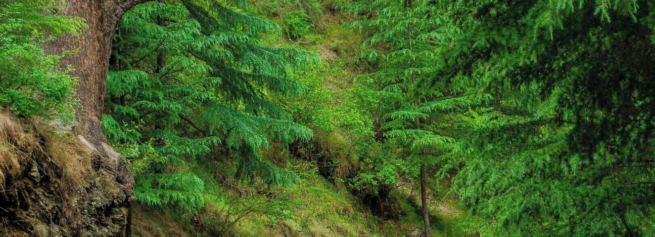 Cycling en route to Jalori Pass