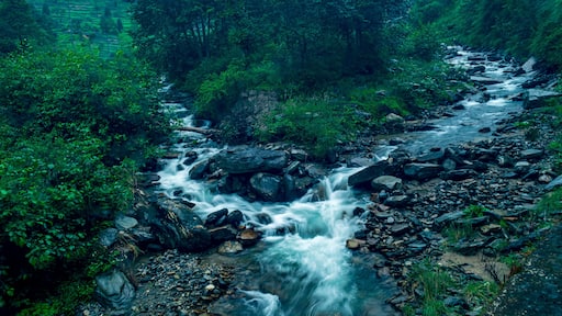 A mountain stream, Shoja, Tirthan Valley, Himachal Pradesh, India