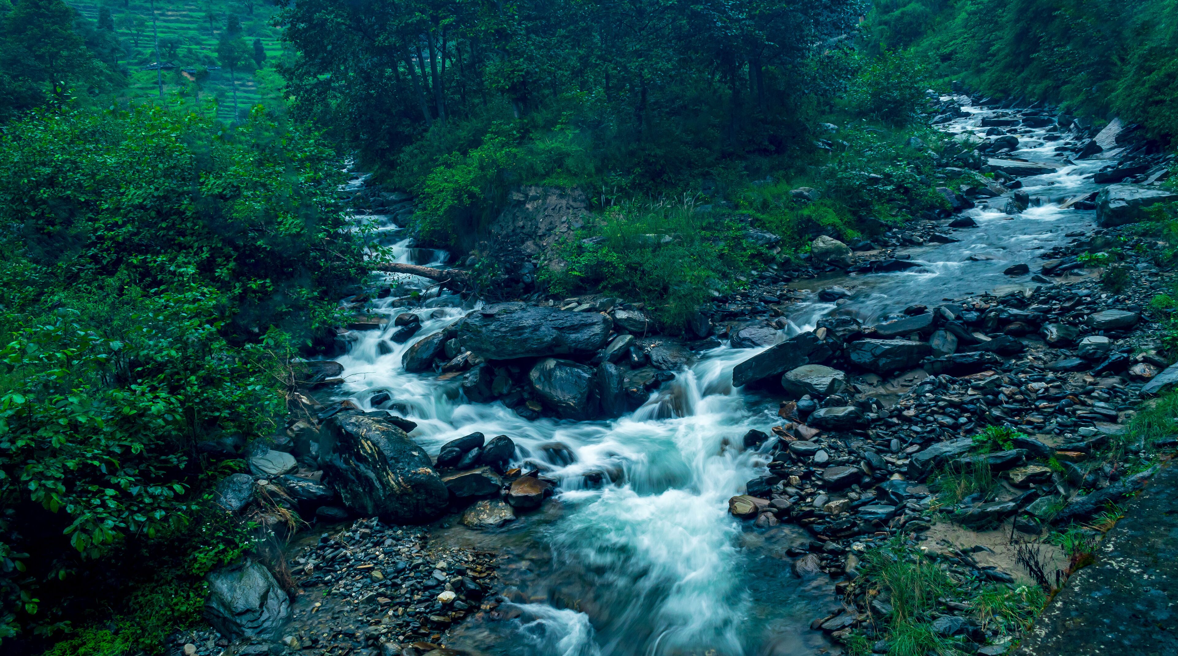 A flowing river with rocks and lush greenery.