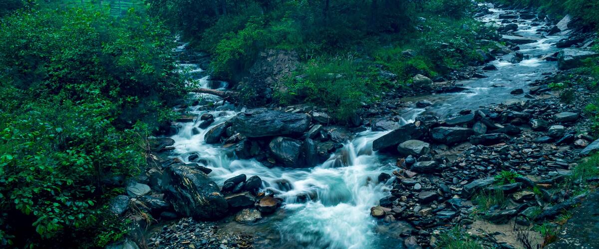 A flowing river with rocks and lush greenery.