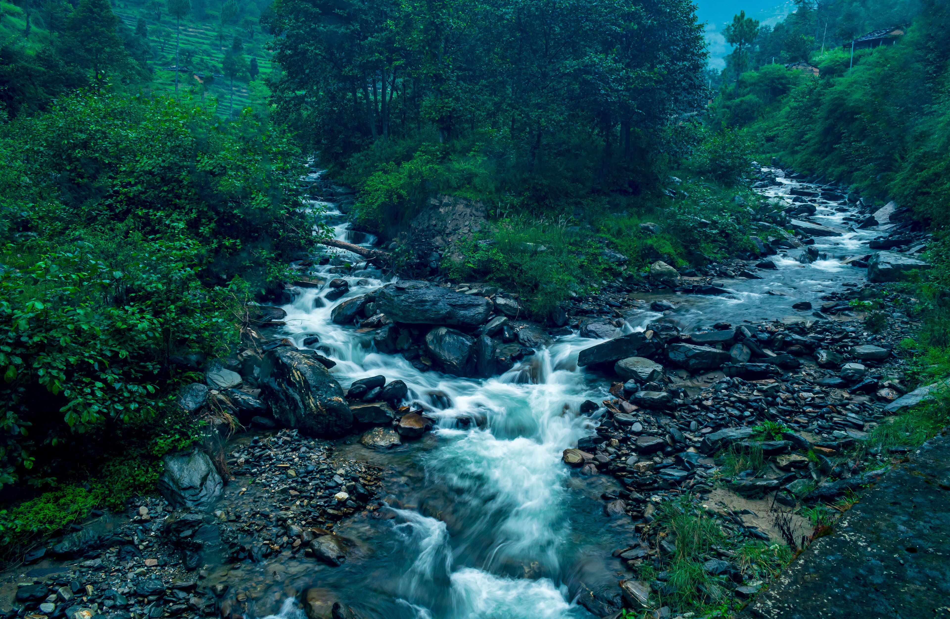 A mountain stream, Shoja, Tirthan Valley, Himachal Pradesh, India