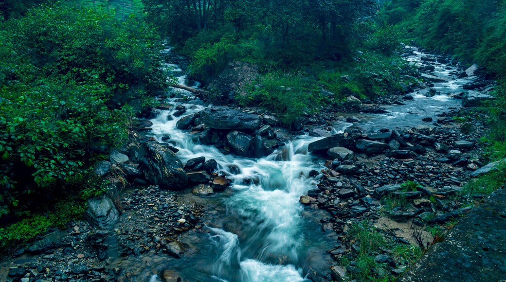 A mountain stream, Shoja, Tirthan Valley, Himachal Pradesh, India