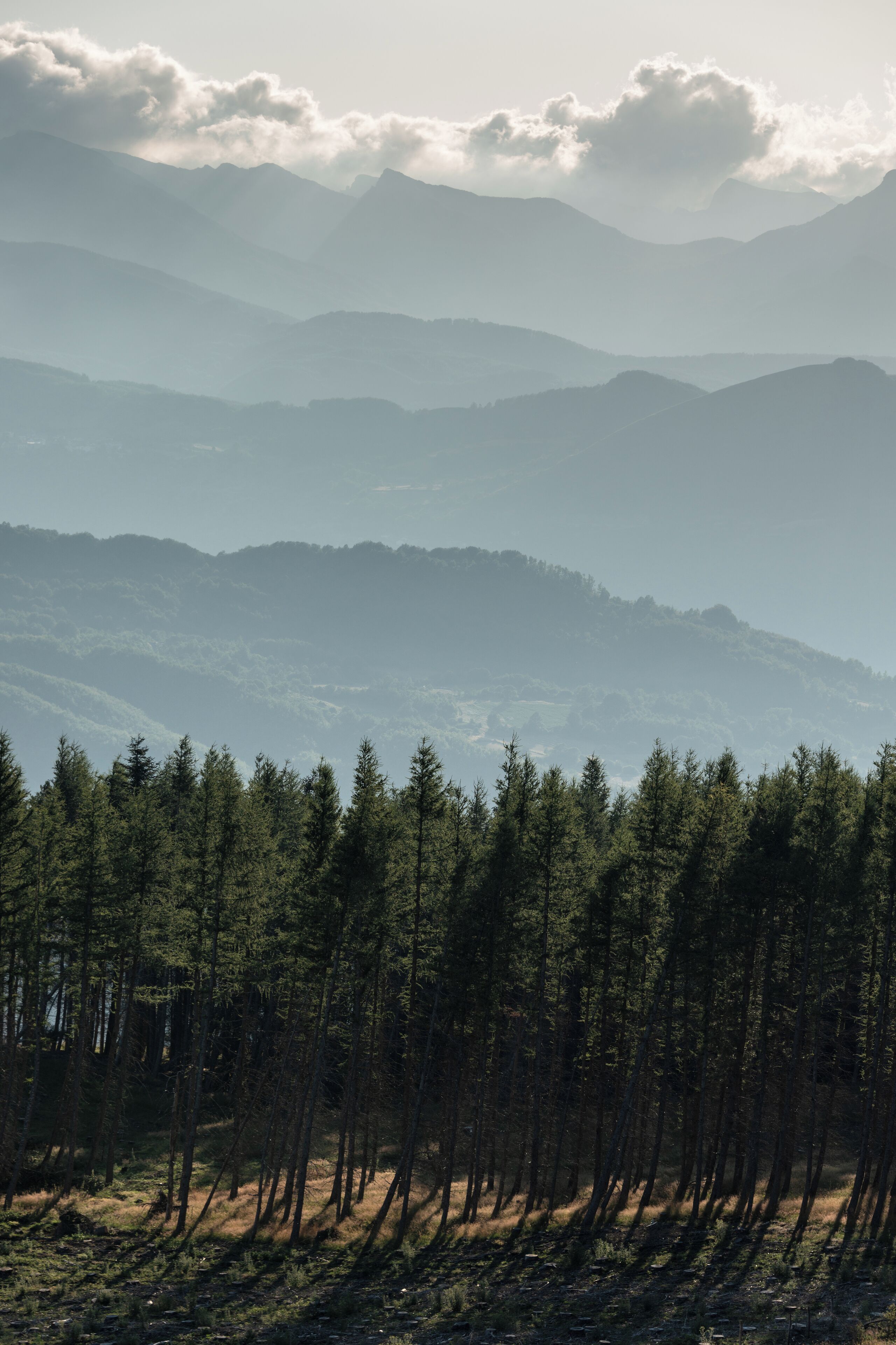 Shades of Grey - Passo della Scalucchia, Ramiseto, Reggio Emilia, Italy