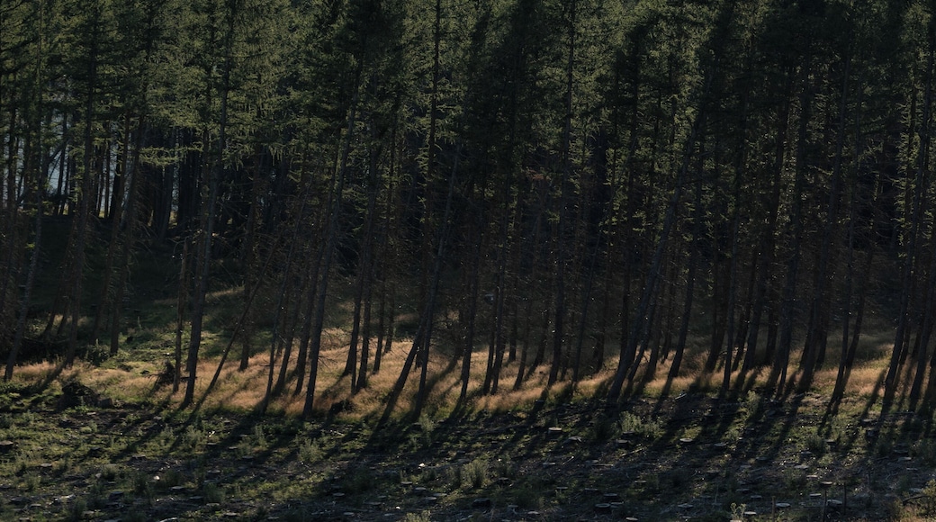 Shades of Grey - Passo della Scalucchia, Ramiseto, Reggio Emilia, Italy