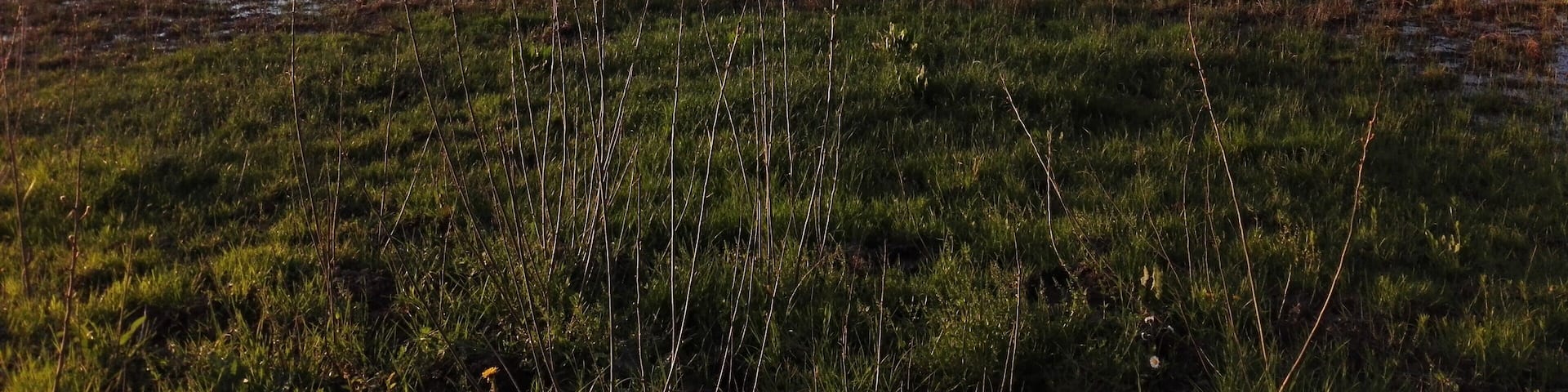 Great park for natural photography