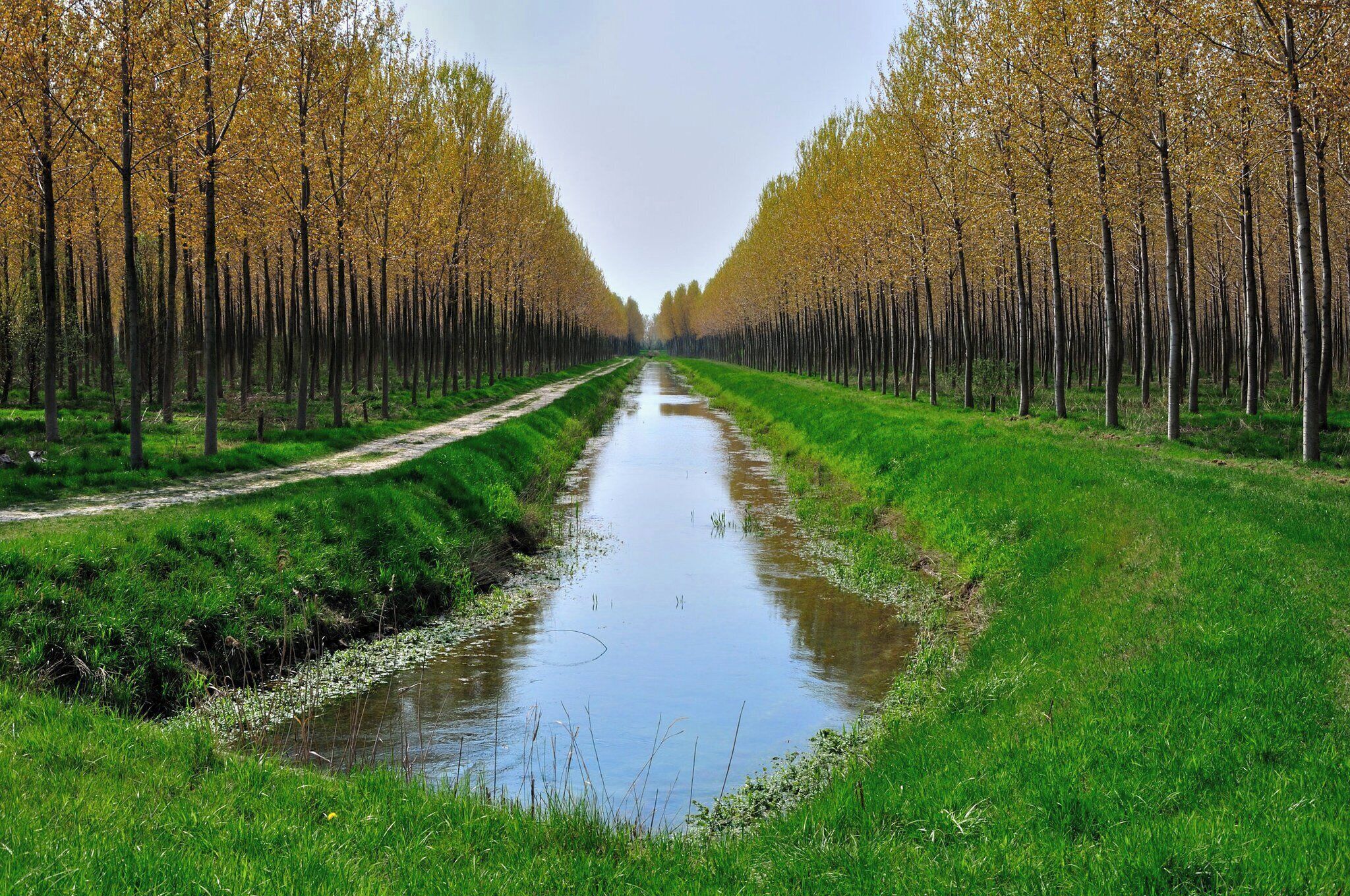 34079 Staranzano, Province of Gorizia, Italy