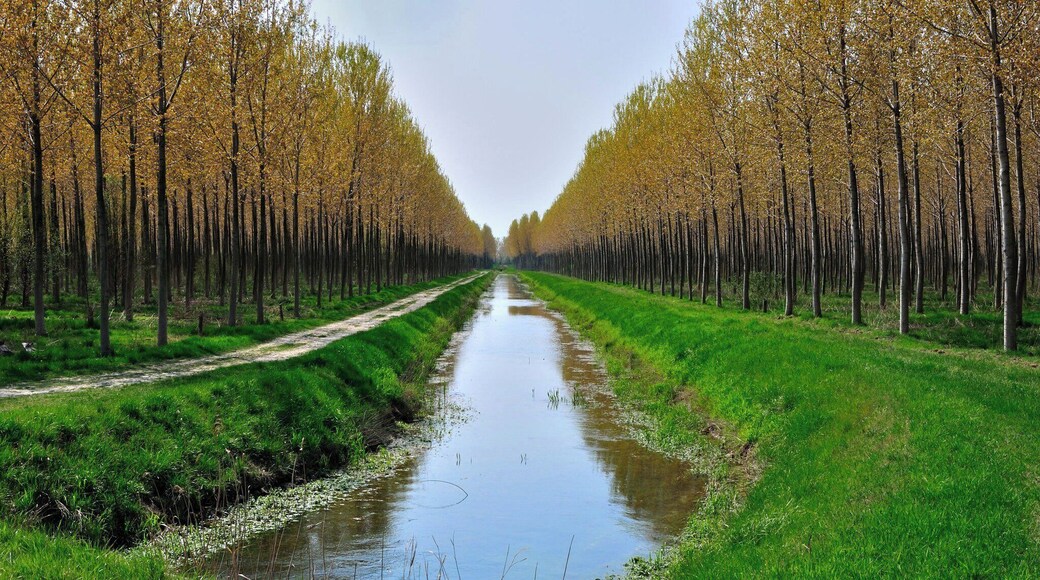 34079 Staranzano, Province of Gorizia, Italy