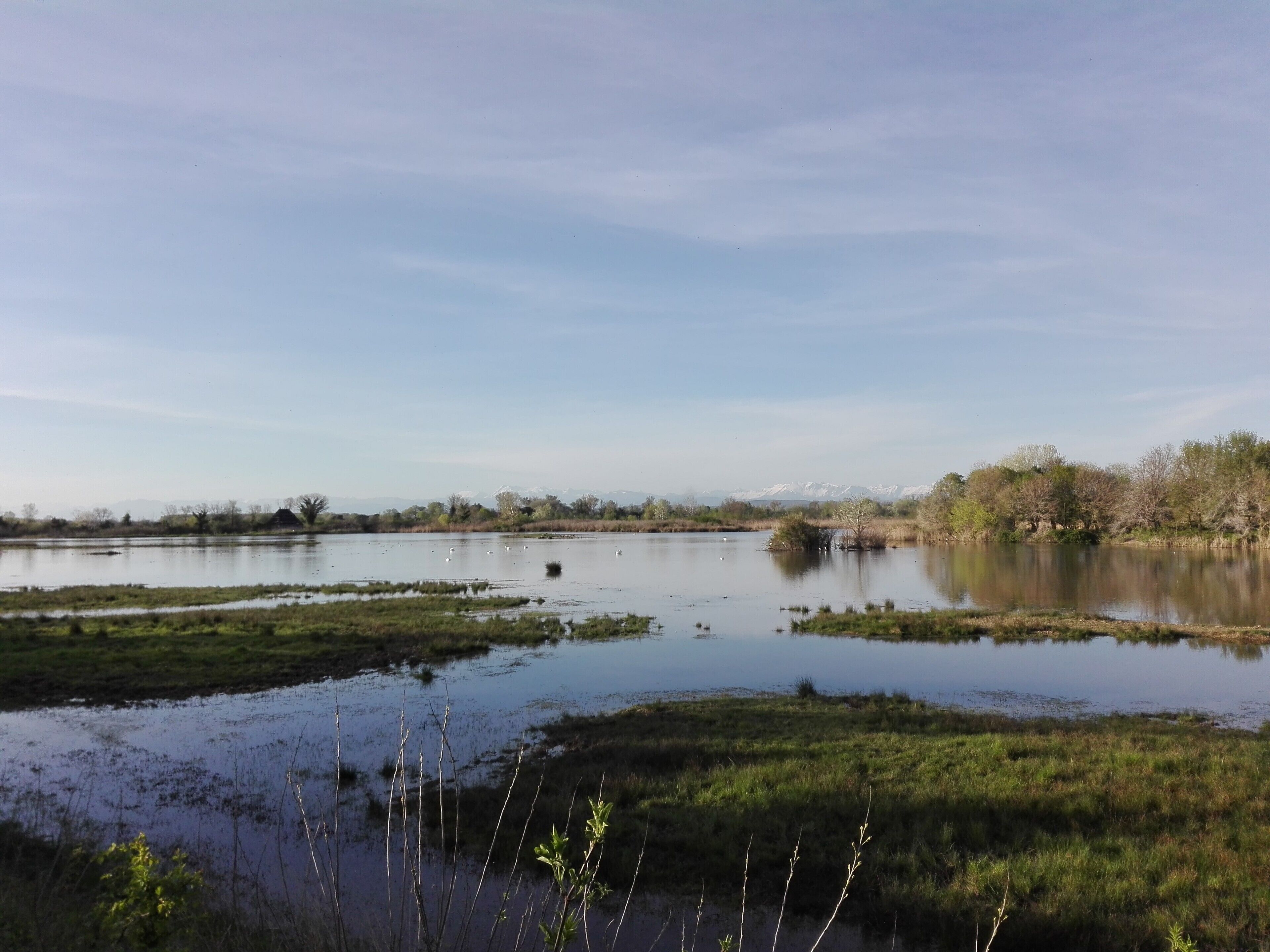 Great park for natural photography
