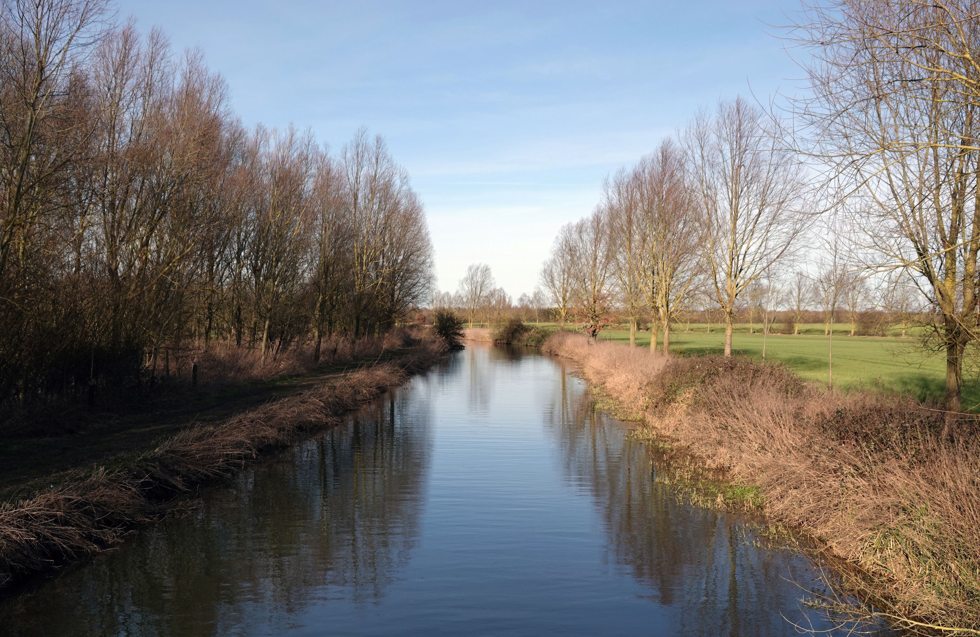 Un río tranquilo bordeado por árboles sin hojas y un campo cubierto de hierba.