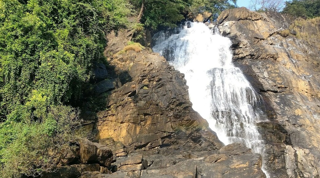 Camping under the gushing water falls beside a flowing stream in a secluded place of western ghats
.
.
.
.
#camping #offbeat #westernghats #waterfalls #peace #secludedplace