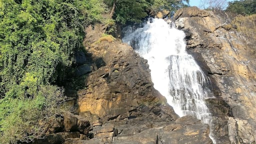 Camping under the gushing water falls beside a flowing stream in a secluded place of western ghats
.
.
.
.
#camping #offbeat #westernghats #waterfalls #peace #secludedplace