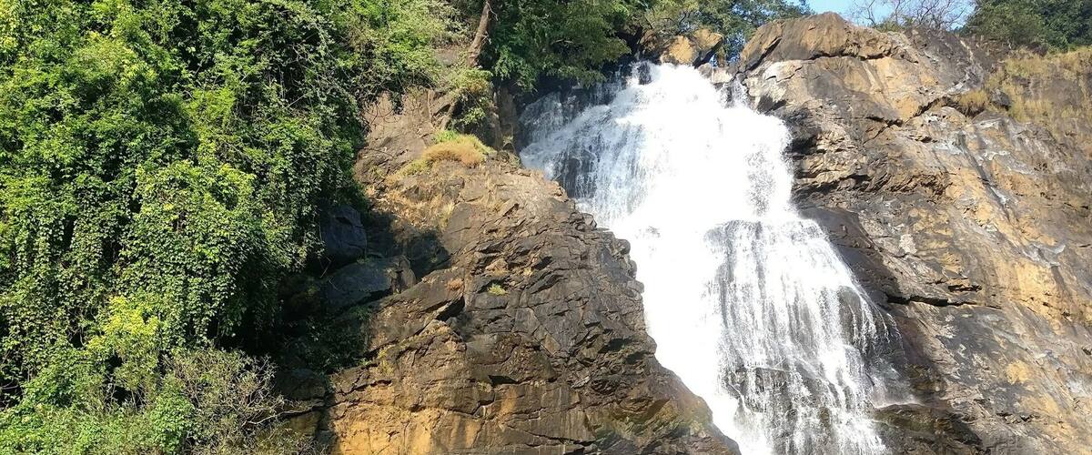 A waterfall cascading down a rocky cliff surrounded by dense green foliage.