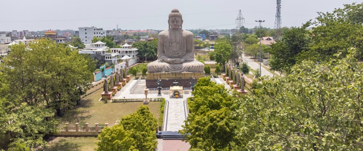 A large Buddha statue surrounded by trees and buildings.